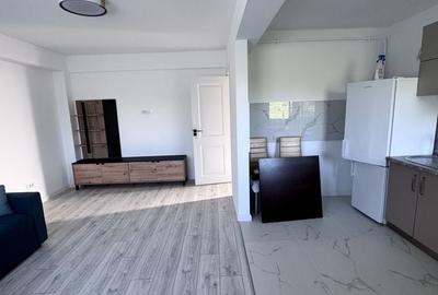 Apartament cu 2 camere semidecomandat în Vișan - 6
