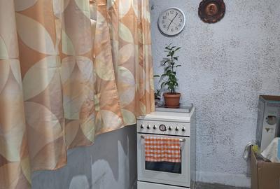 Apartament cu 2 camere decomandat în Delfinariu - 9