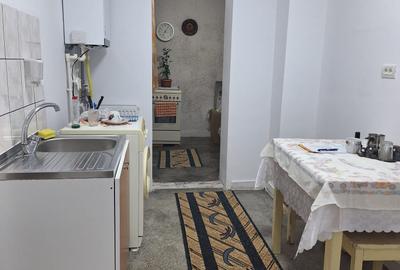 Apartament cu 2 camere decomandat în Delfinariu - 8
