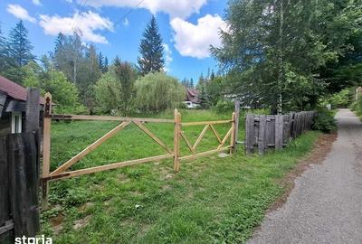 Teren de 984 mp, în Măneciu - 5