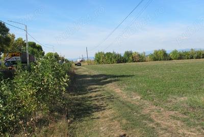 Teren de 3000 mp, în Central - 2