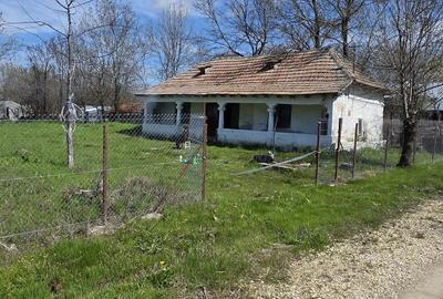 Casă cu Teren 1550 Mp în Ștorobăneasa