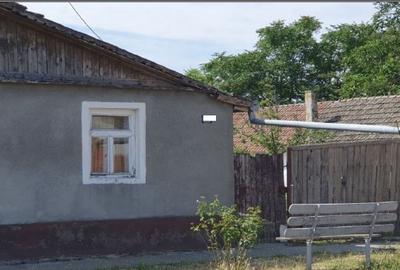Casă cu 2 camere cu Teren 719 Mp în Beba Veche - 5