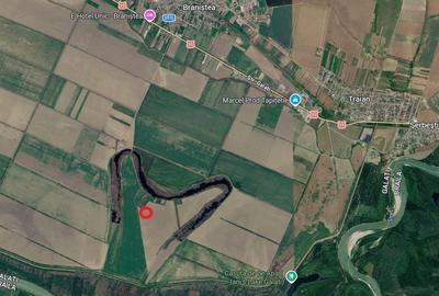 Teren agricol extravilan de 80000 mp, în Braniștea - 2