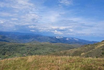 Teren în Râmeț - 1