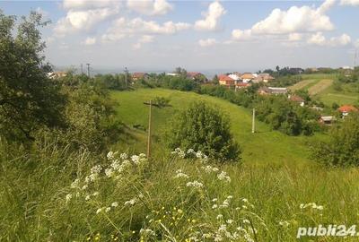 Teren de 3739 mp, în Feleacu