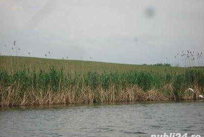 Teren de 5000 mp, în Ciofliceni - 2