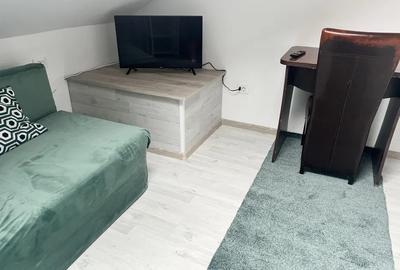 Garsonieră nedecomandată, mobilată în Târgu Cucu - 2