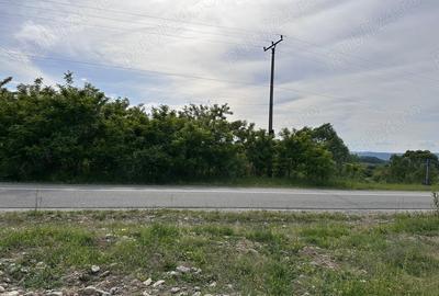 Teren de 3500 mp, în Central - 1