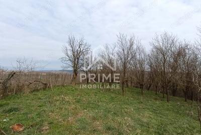 Teren de 1295 mp, în Straja - 2