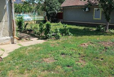 Casă cu 4 camere cu Teren 6 Mp în Sanislău - 3