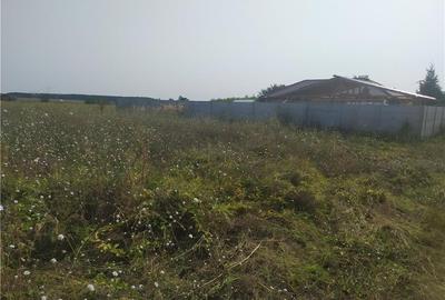 Teren de 600 mp, în Frumușani - 2