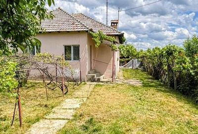 Casă cu 3 camere cu Teren 686 Mp în Central - 9