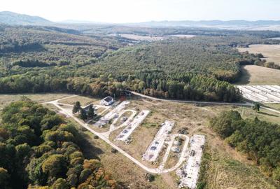 Teren Construcții intravilan de 186000 mp, în Exterior Vest - 39