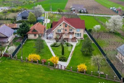 Casă cu 5 camere cu Teren 3659 Mp în Sărata - 17