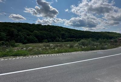 Teren de 4000 mp, în Central