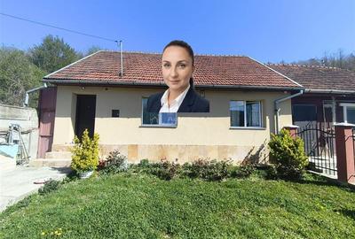 Casă individuală cu 3 camere cu Canalizare în Muncitoresc - 16