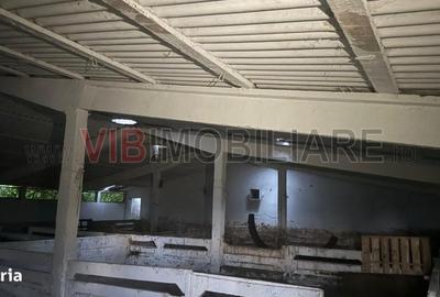 Spațiu comercial, în Mărtinești - 3