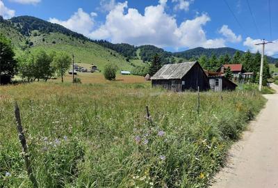 Teren de 1400 mp, în Șirnea - 3