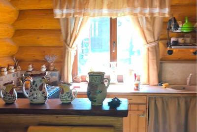 Apartament cu 2 camere decomandat în Nicolina - 2