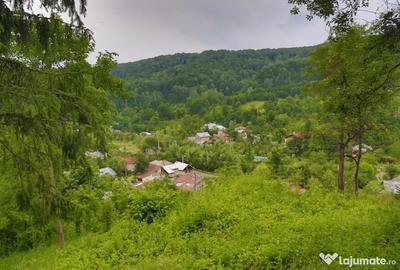 Teren de 2700 mp, în Telega - 11