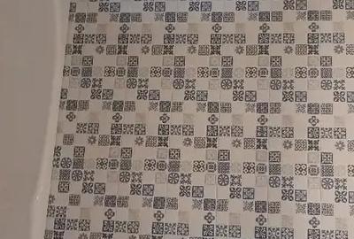 Apartament cu 2 camere semidecomandat în Tătărași - 5