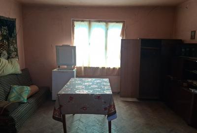 Casă individuală cu 3 camere cu Teren 585 Mp în Vălcani - 9