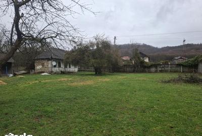 Teren de 5854 mp, în Tătărani - 1