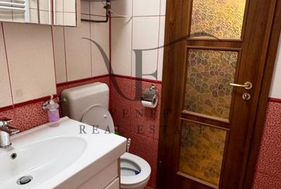 Apartament cu 2 camere semidecomandat în Pantelimon - 11