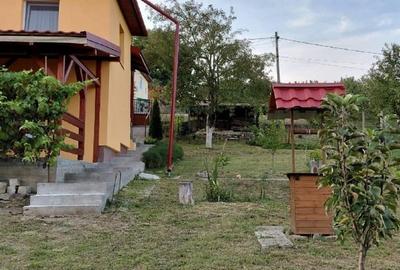 Casă individuală cu 4 camere cu Teren 1997 Mp în Mica - 10