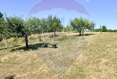 Casă în Ferești