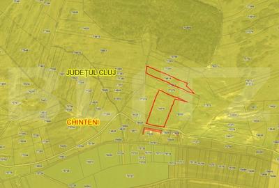 Teren agricol extravilan de 23000 mp, în Chinteni