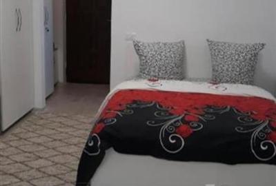 Garsonieră decomandată, mobilată în Alexandru cel Bun