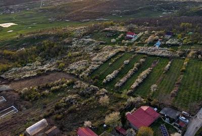 Teren de 900 mp, în Central