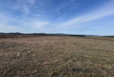 Teren agricol extravilan de 44000 mp, în Hărman - 9