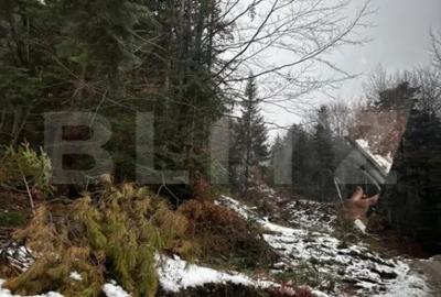 Teren de 4000 mp, în Calea Moroieni - 3