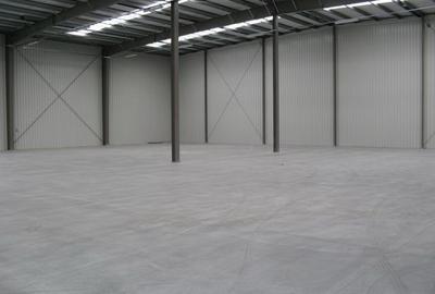 Spațiu industrial, de 1,000 mp, în Bradu - 10
