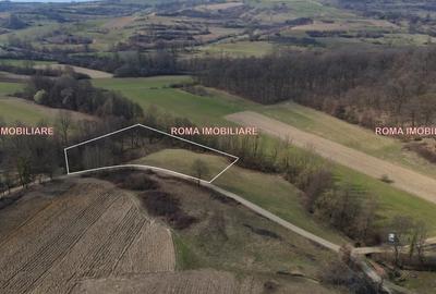 Teren extravilan de 3750 mp, în Dumbrăvița - 3