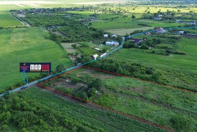 Teren Construcții intravilan de 5555 mp, în Urlați - 2