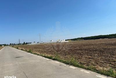 Teren de 100000 mp, în Păulești