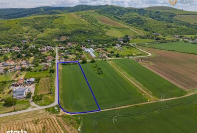 Teren de 6400 mp, în Ghioroc - 5