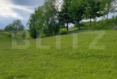 Teren de 4500 mp, în Ponor - 2