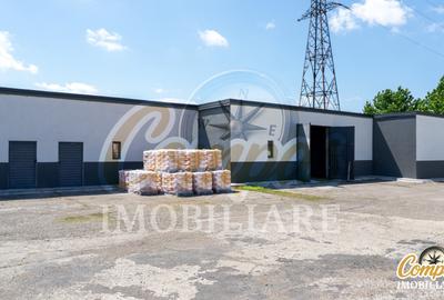 Spațiu industrial, de 1,800 mp, în Roman - 8