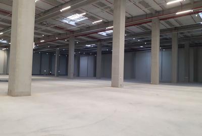 Spațiu industrial, de 2,000 mp, în Dragomirești-Vale - 1