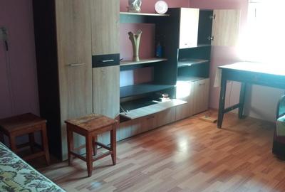 Casă cu 2 camere în Vale - 6