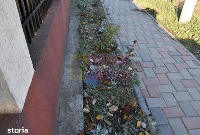 Casă cu 4 camere decomandat cu Canalizare în Copăceni - 13