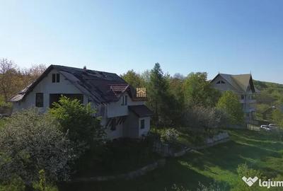 Teren de 4863 mp, în Adâncata - 12