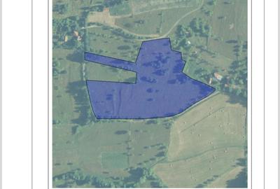 Spațiu comercial, în Hărțăgani - 7