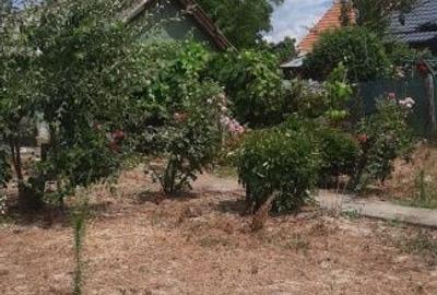 Casă cu 3 camere în Gura Văii