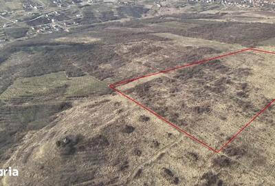 Teren de 26587 mp, în Iorga - 2